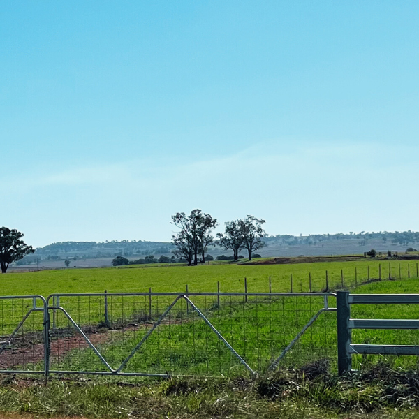 How the right fence can transform your farm