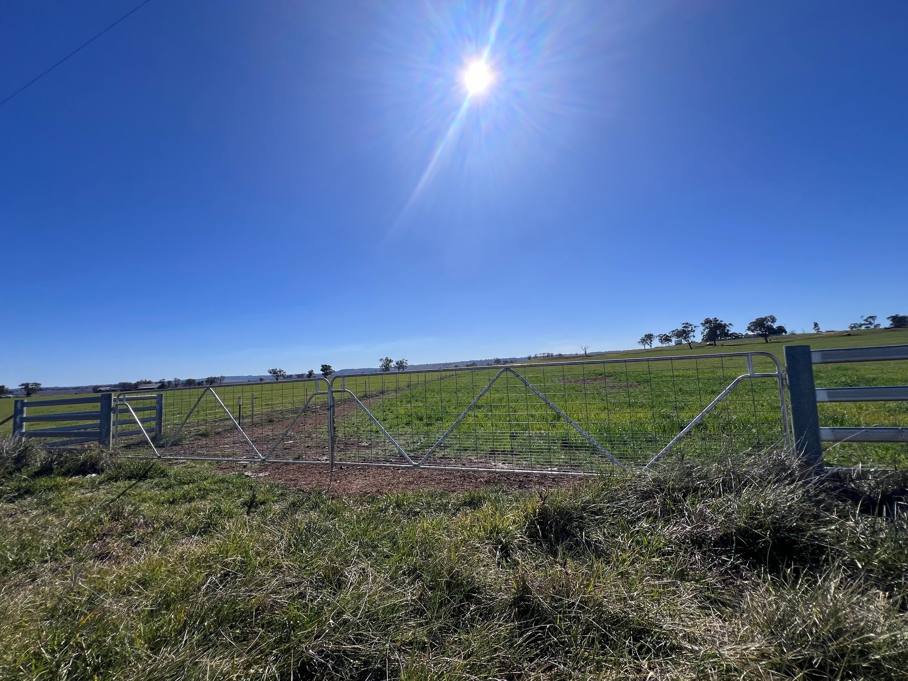 Farm gate