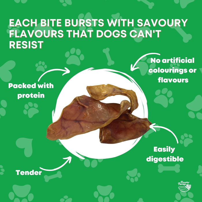 Dehydrated pig ear dog treat