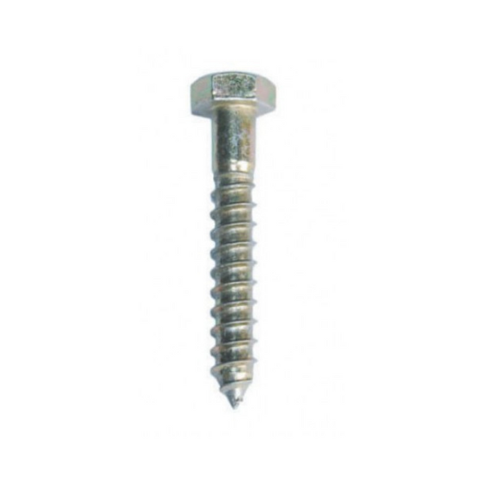 Coach Screws