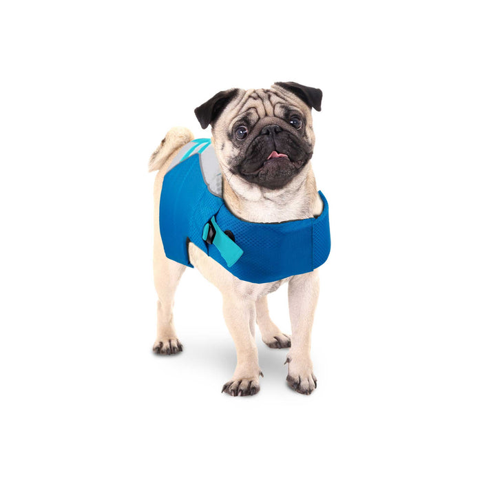 Blue adjustable safety vest for dogs