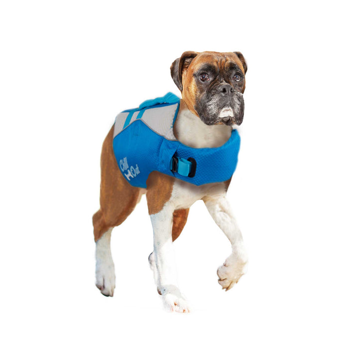 Blue adjustable safety vest for dogs