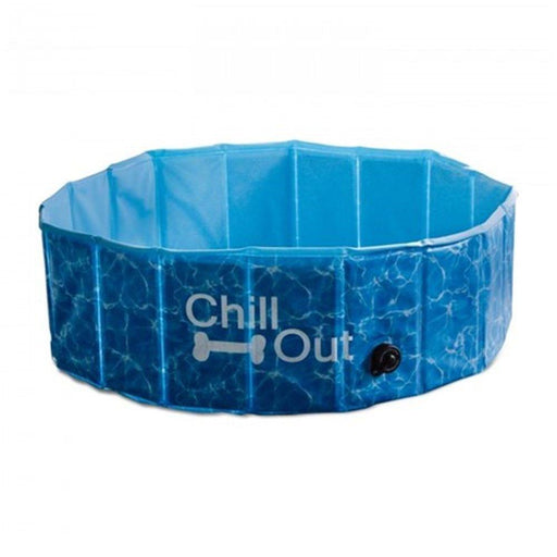 Blue plastic pet swimming pool 