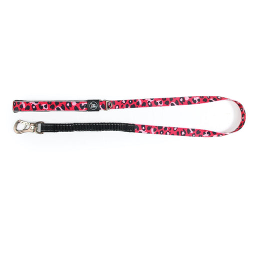 water resistant multicolour leopard print reflective dog leash 