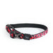 Multicolour water resistant leopard print dog collar 