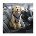 Yellow haired dog sitting in car with grey and black no pull leash seat belt for car rides and walks 