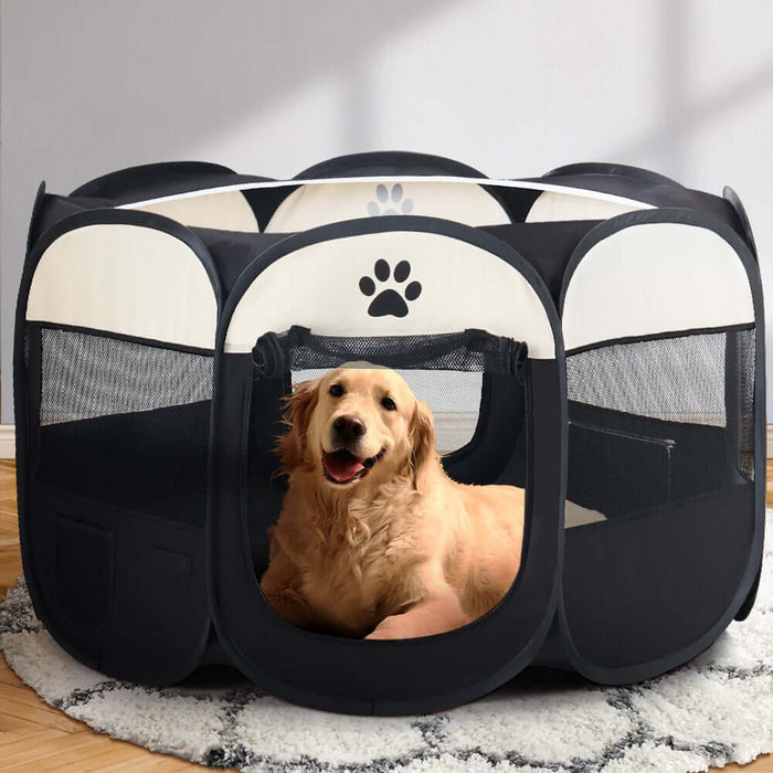 A golden dog sitting in a black netted and sheeted dog plan pen tent