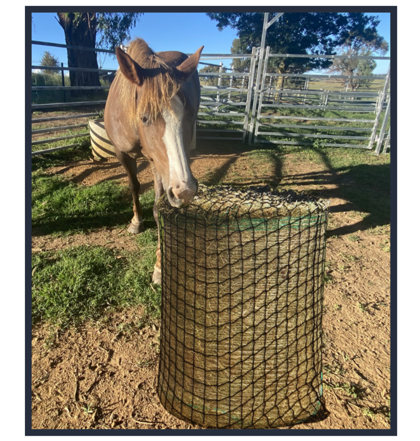 Round Hay Nets - Premium Slow Feed Hay Nets
